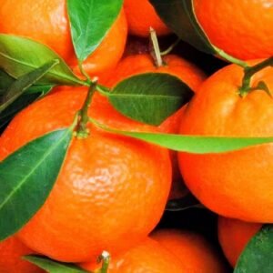 Mandarinas Clementinas