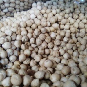 Garbanzo Pedrosillano