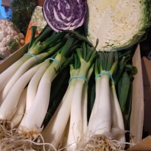 Cebolleta del terreno