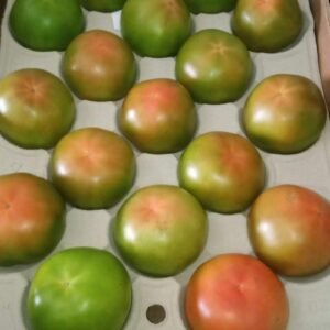 Tomate Verde